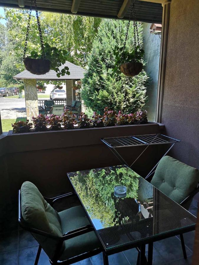 Villa I Spa Stevic Veliko Gradište Zewnętrze zdjęcie
