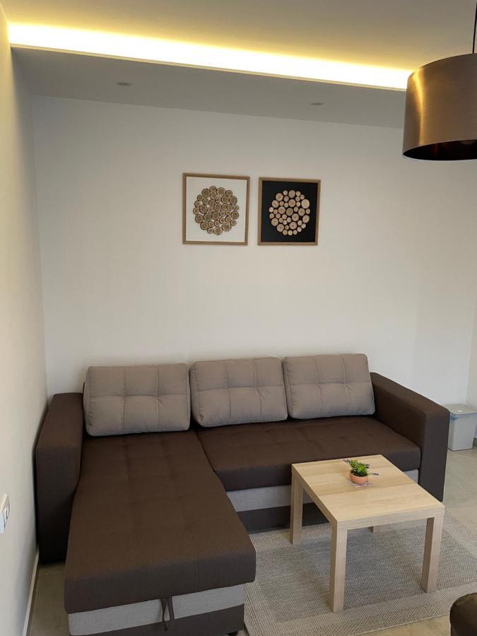 Villa I Spa Stevic Veliko Gradište Zewnętrze zdjęcie
