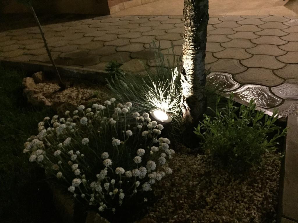 Villa I Spa Stevic Veliko Gradište Zewnętrze zdjęcie