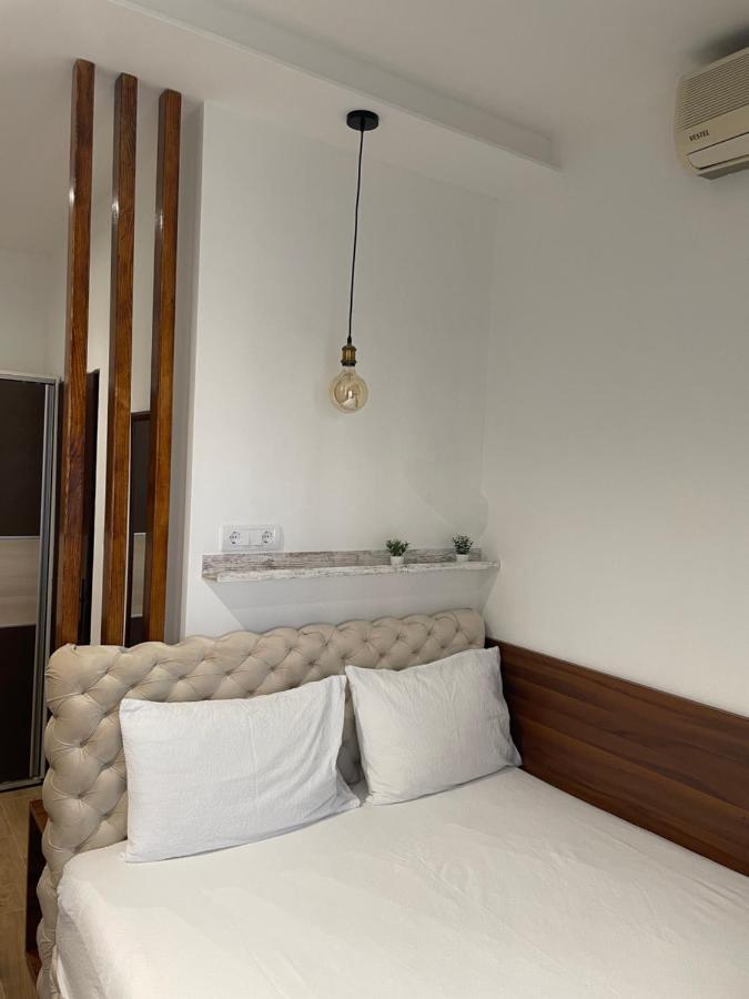 Villa I Spa Stevic Veliko Gradište Zewnętrze zdjęcie