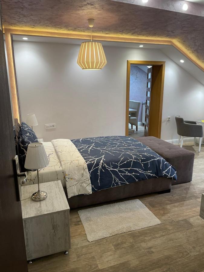 Villa I Spa Stevic Veliko Gradište Zewnętrze zdjęcie