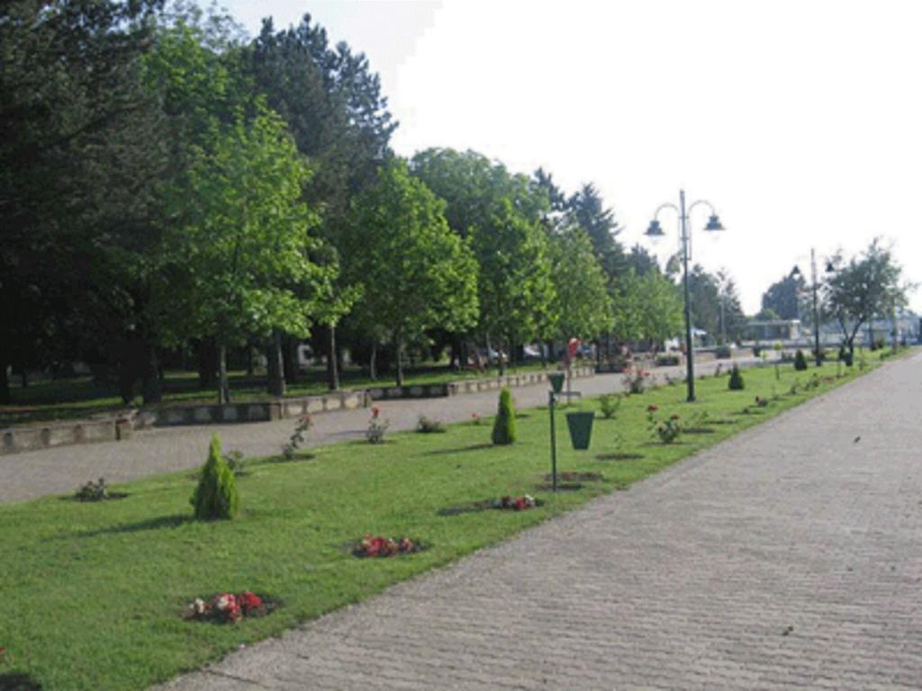 Villa I Spa Stevic Veliko Gradište Zewnętrze zdjęcie