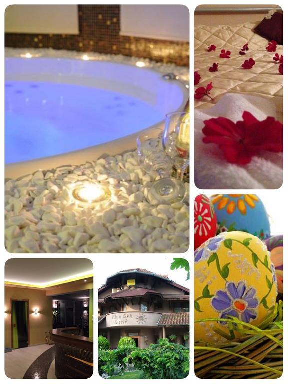 Villa I Spa Stevic Veliko Gradište Zewnętrze zdjęcie